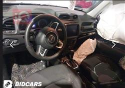 جيب رينيجيد